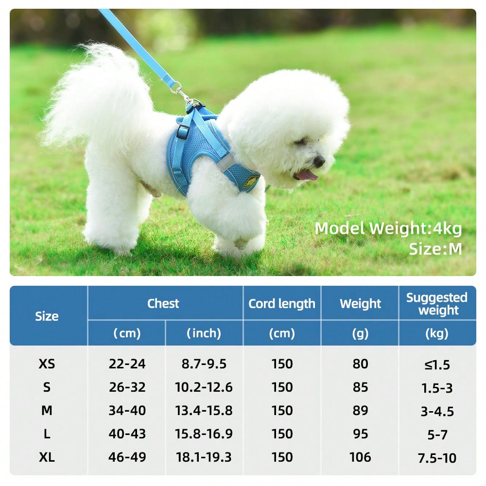Blue polyester pet chest and back harness with matching leash, breathable mesh fabric, and reflective strips for cats and dogs during outdoor or nighttime walks.