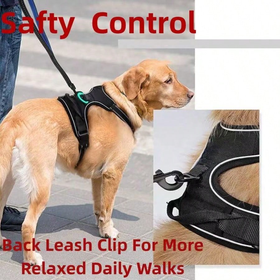 Reflective anti-pull dog harness and leash set with quick release buckle and comfortable thick handle for walking and training cats or dogs