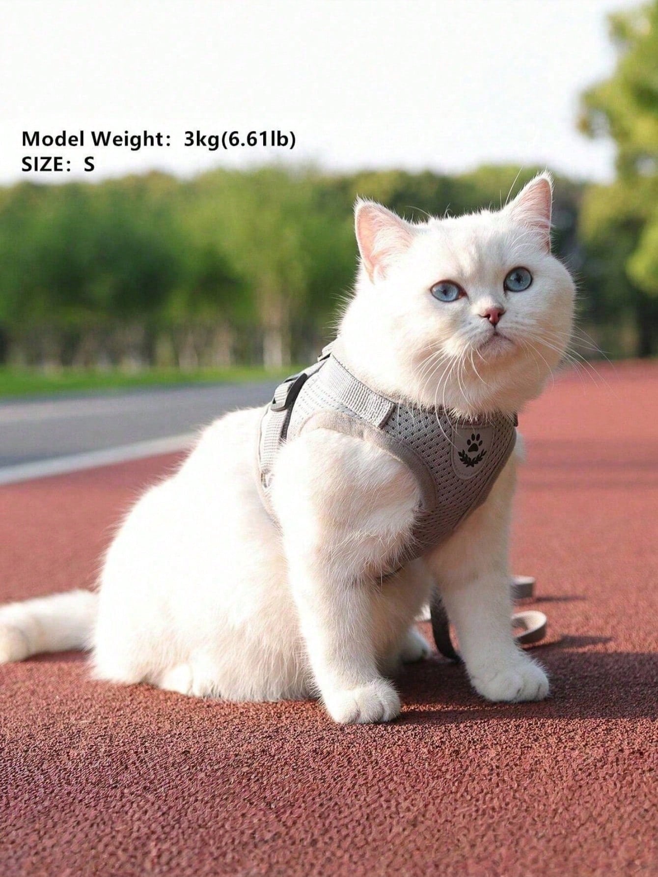 New High-Quality Patterned Dog Harness Set With Adjustable Dog Leash For Outdoor Walking