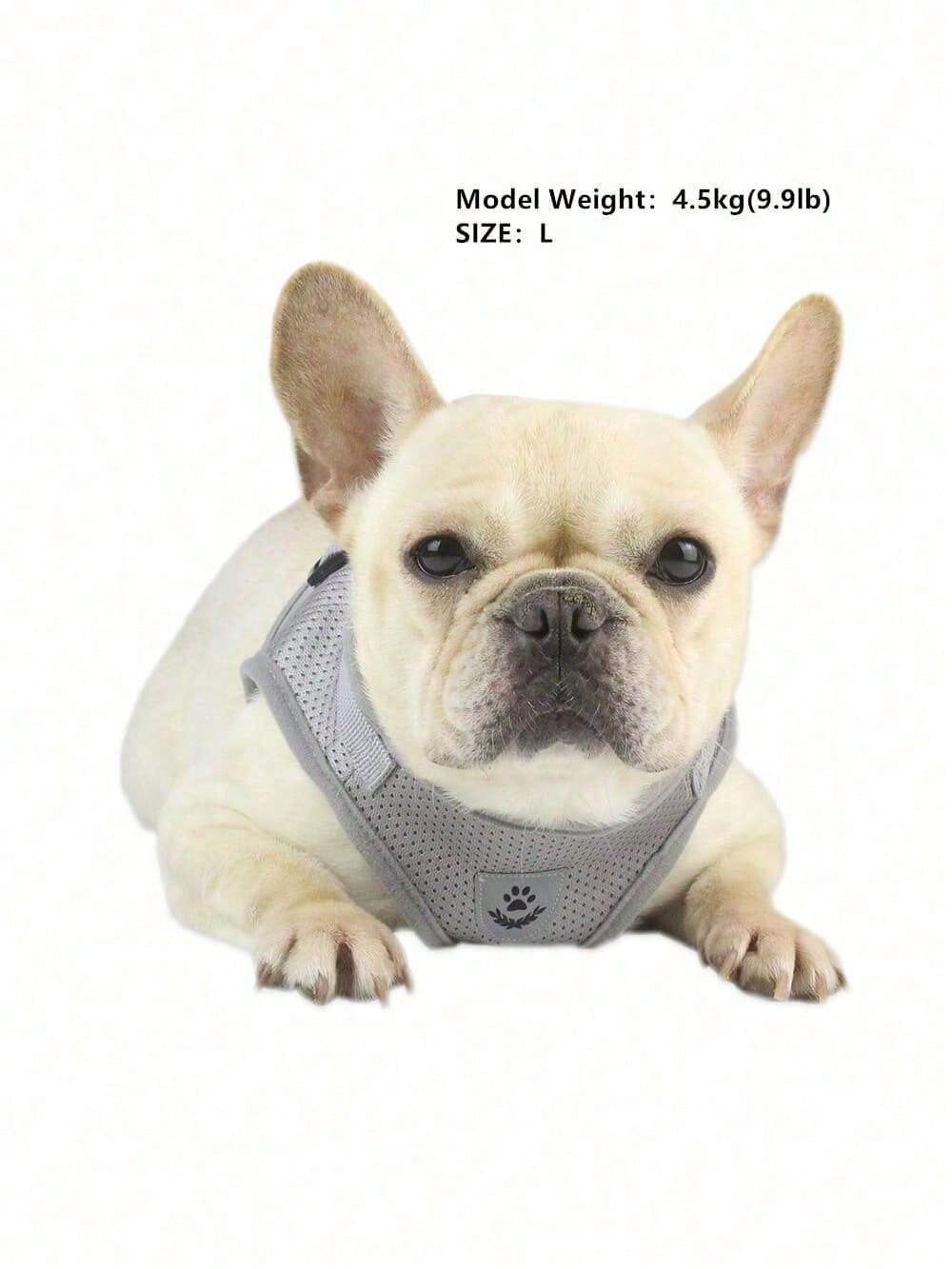 New High-Quality Patterned Dog Harness Set With Adjustable Dog Leash For Outdoor Walking