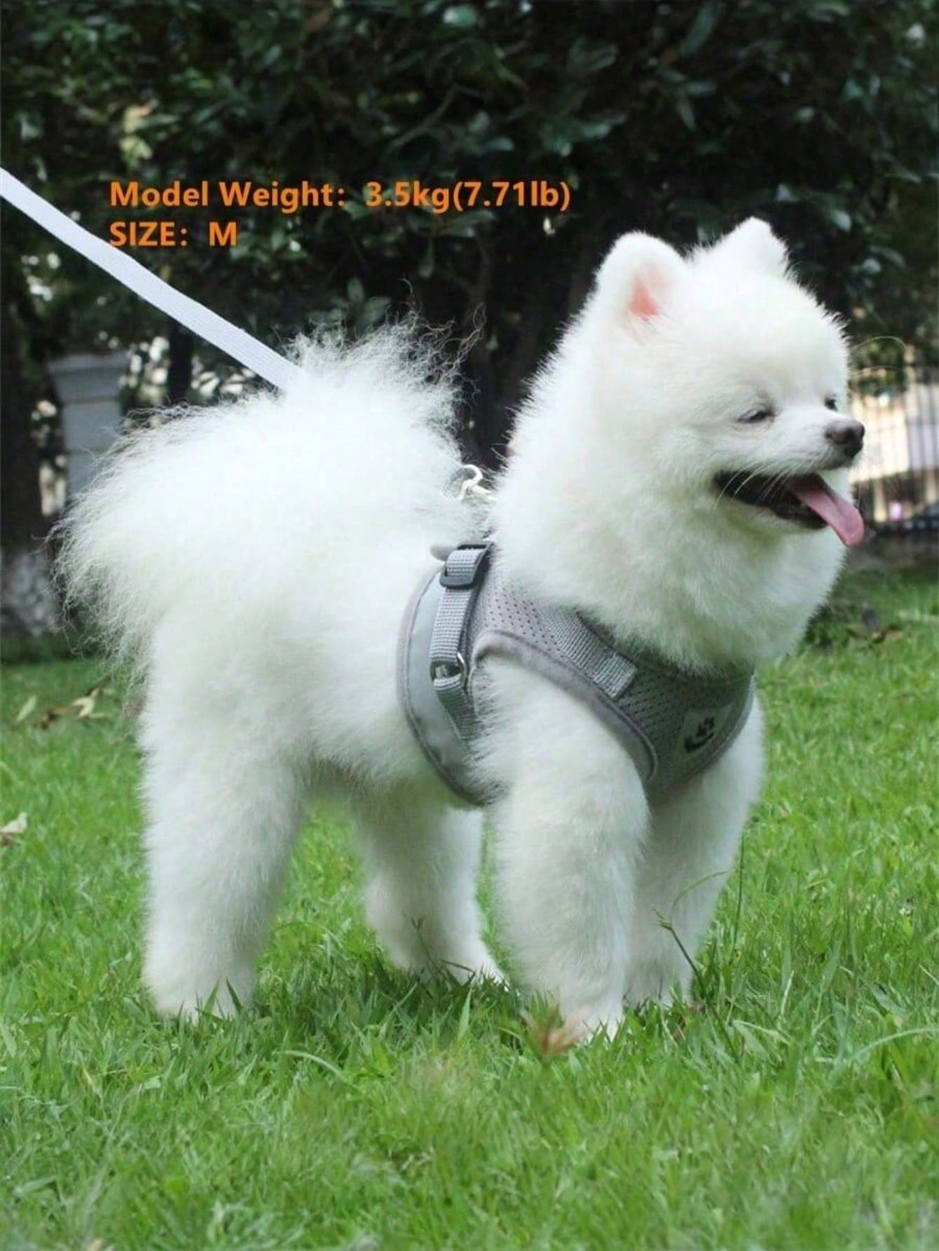 New High-Quality Patterned Dog Harness Set With Adjustable Dog Leash For Outdoor Walking