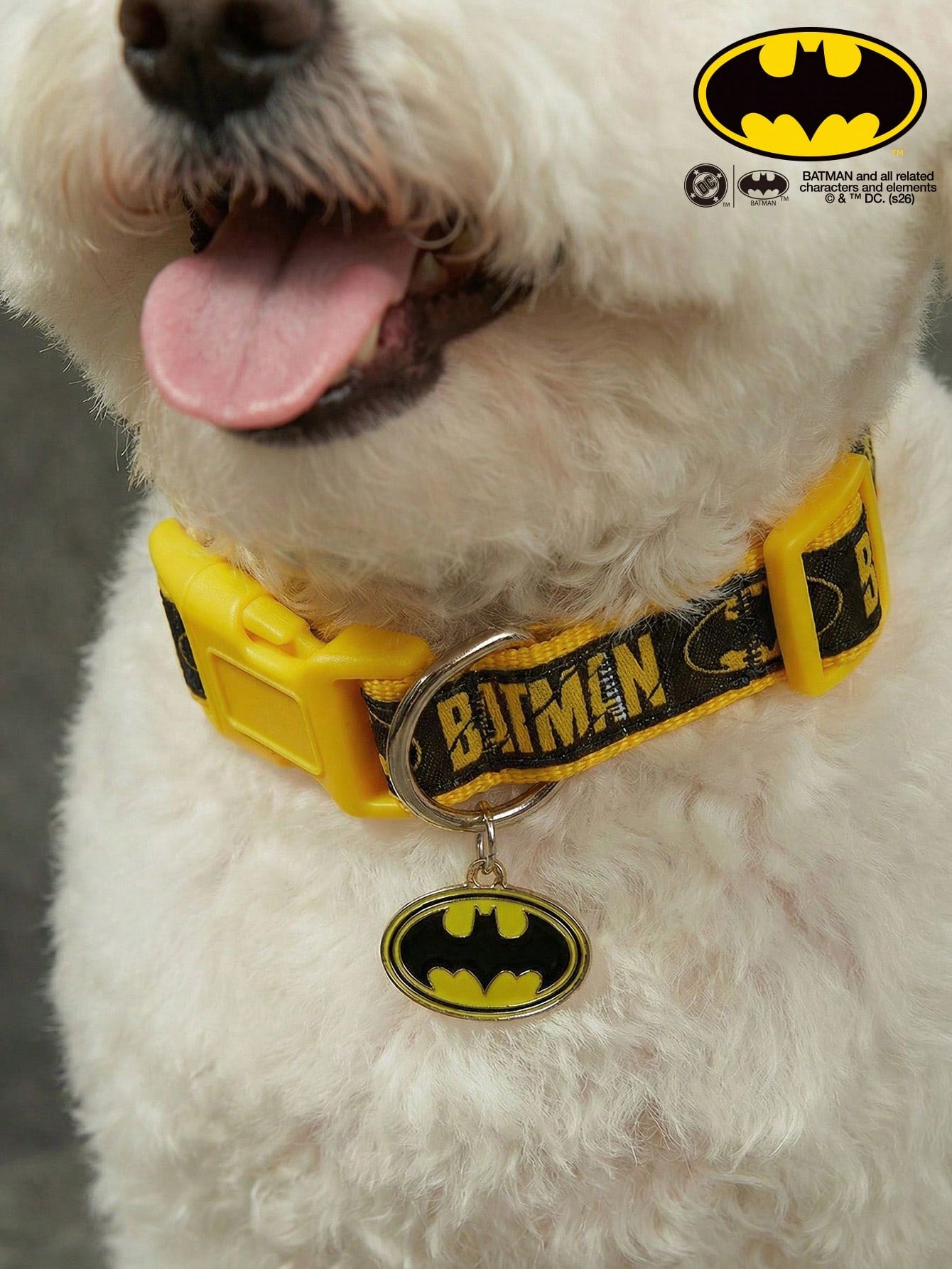 Black polyamide dog collar with Halloween letter print design for dogs
