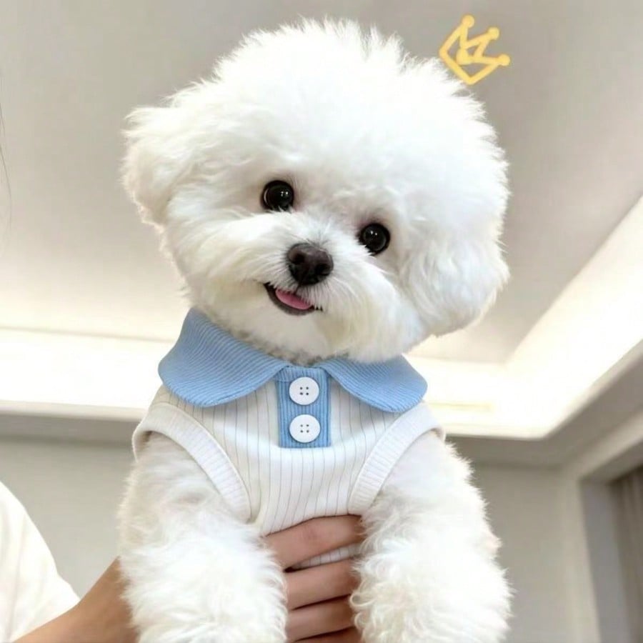 1pc Cat/Dog Summer Thin Polo Shirt, Lapel T-Shirt, Suitable For Munchkin, British Shorthair, Cute Pet Vest, Anti-Shedding