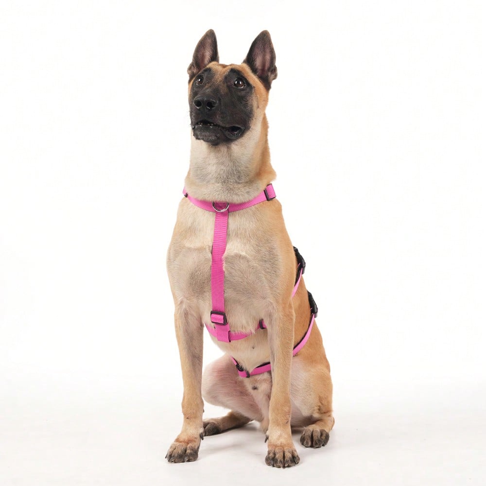 Heavy Duty Escape-Proof Dog Harness Leash For Large Dogs, Summer, 3-Strap Safety Design With Soft Nylon Padding, Suitable For Long-Bodied Breeds, Durable Nylon Material, Ideal For Walking, Training Breeds Like Dalmatians And Strong Pullers
