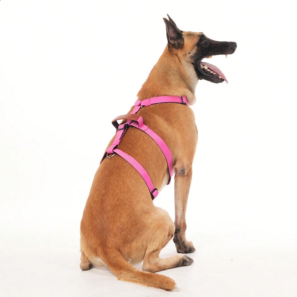 Heavy Duty Escape-Proof Dog Harness Leash For Large Dogs, Summer, 3-Strap Safety Design With Soft Nylon Padding, Suitable For Long-Bodied Breeds, Durable Nylon Material, Ideal For Walking, Training Breeds Like Dalmatians And Strong Pullers