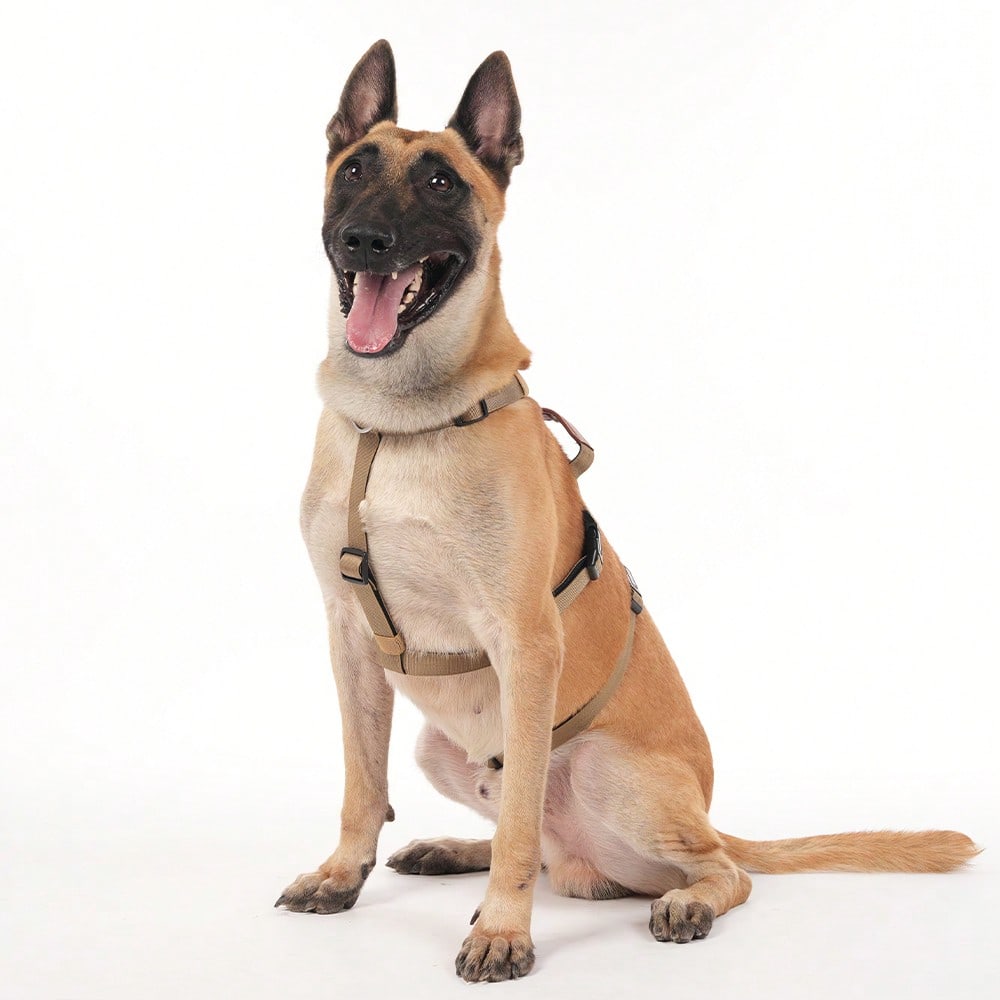 Heavy Duty Escape-Proof Dog Harness Leash For Large Dogs, Summer, 3-Strap Safety Design With Soft Nylon Padding, Suitable For Long-Bodied Breeds, Durable Nylon Material, Ideal For Walking, Training Breeds Like Dalmatians And Strong Pullers