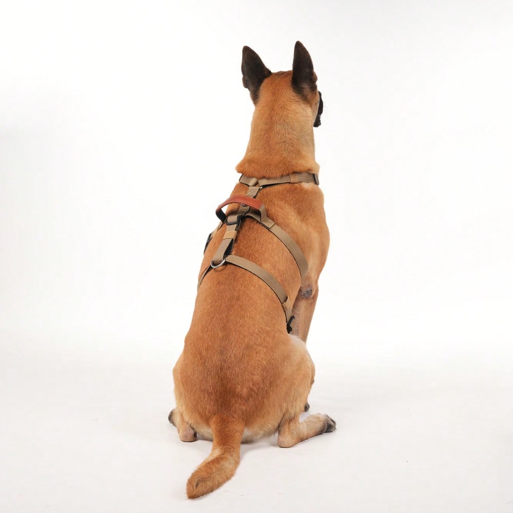 Heavy Duty Escape-Proof Dog Harness Leash For Large Dogs, Summer, 3-Strap Safety Design With Soft Nylon Padding, Suitable For Long-Bodied Breeds, Durable Nylon Material, Ideal For Walking, Training Breeds Like Dalmatians And Strong Pullers