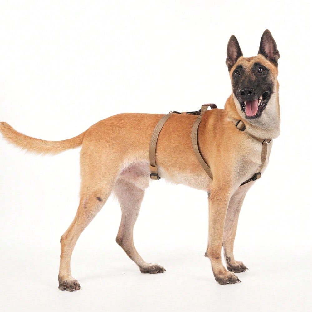 Heavy Duty Escape-Proof Dog Harness Leash For Large Dogs, Summer, 3-Strap Safety Design With Soft Nylon Padding, Suitable For Long-Bodied Breeds, Durable Nylon Material, Ideal For Walking, Training Breeds Like Dalmatians And Strong Pullers