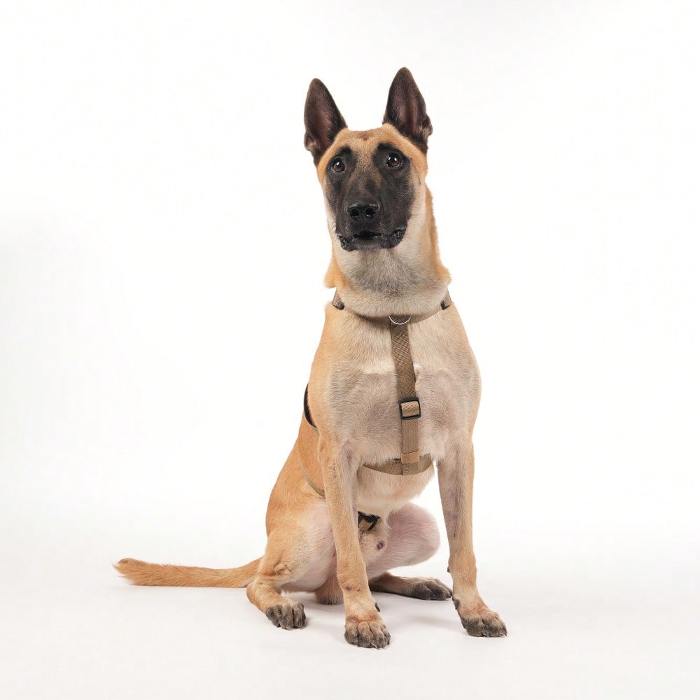 Heavy Duty Escape-Proof Dog Harness Leash For Large Dogs, Summer, 3-Strap Safety Design With Soft Nylon Padding, Suitable For Long-Bodied Breeds, Durable Nylon Material, Ideal For Walking, Training Breeds Like Dalmatians And Strong Pullers