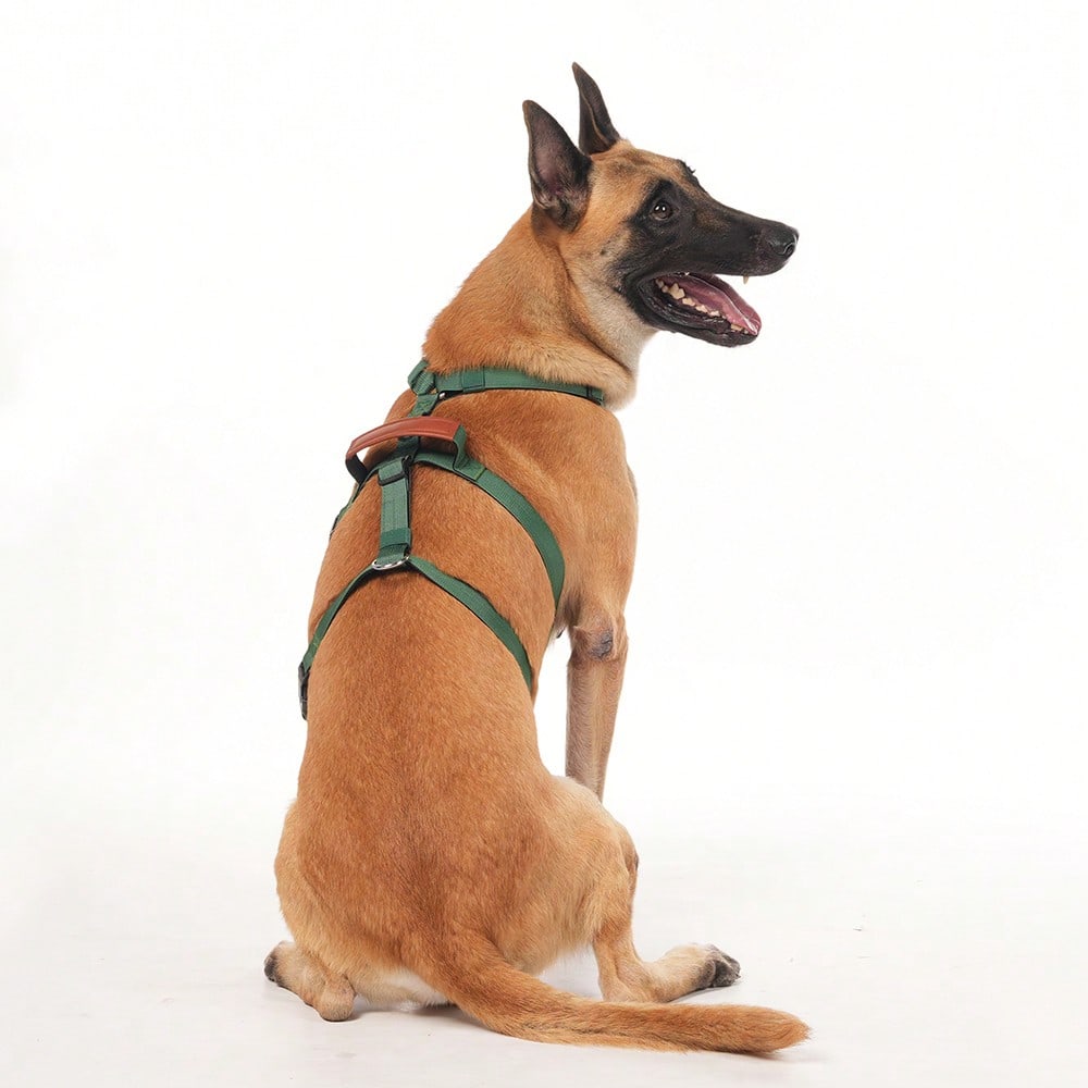 Heavy Duty Escape-Proof Dog Harness Leash For Large Dogs, Summer, 3-Strap Safety Design With Soft Nylon Padding, Suitable For Long-Bodied Breeds, Durable Nylon Material, Ideal For Walking, Training Breeds Like Dalmatians And Strong Pullers