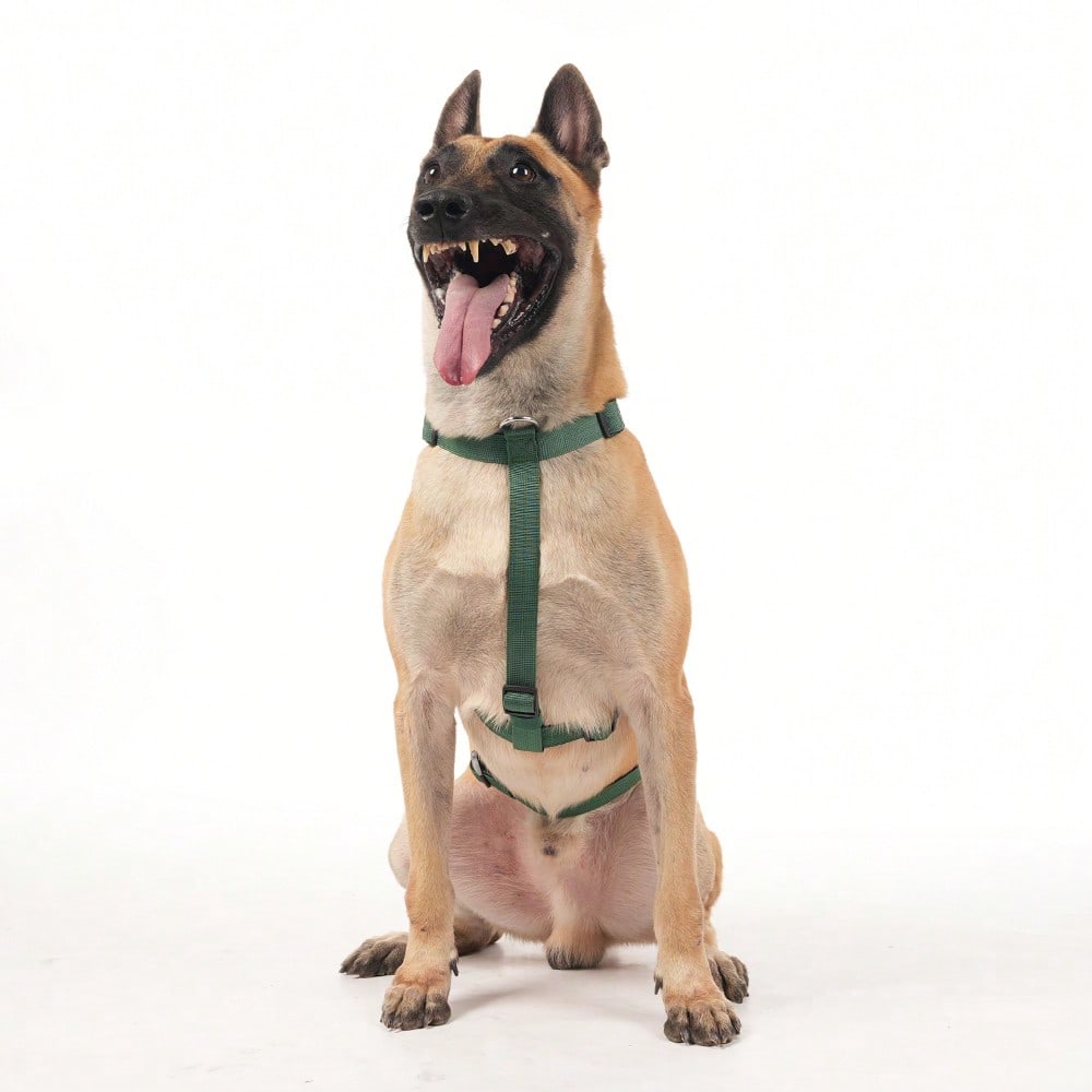 Heavy Duty Escape-Proof Dog Harness Leash For Large Dogs, Summer, 3-Strap Safety Design With Soft Nylon Padding, Suitable For Long-Bodied Breeds, Durable Nylon Material, Ideal For Walking, Training Breeds Like Dalmatians And Strong Pullers