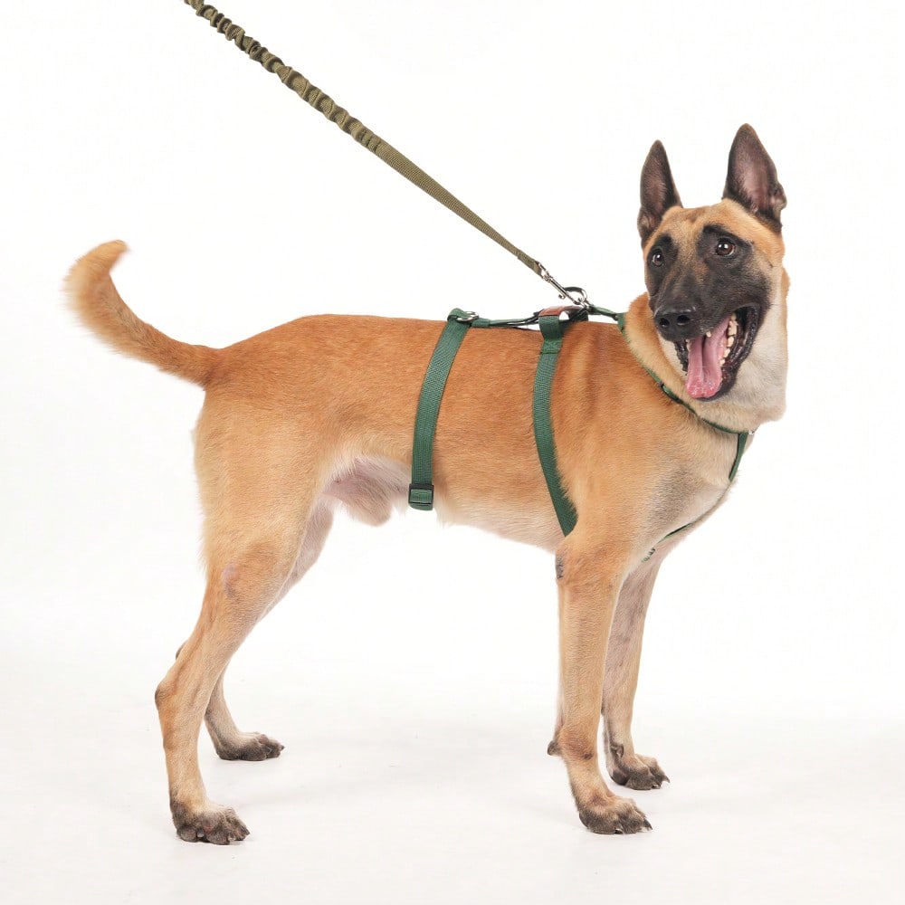 Heavy Duty Escape-Proof Dog Harness Leash For Large Dogs, Summer, 3-Strap Safety Design With Soft Nylon Padding, Suitable For Long-Bodied Breeds, Durable Nylon Material, Ideal For Walking, Training Breeds Like Dalmatians And Strong Pullers