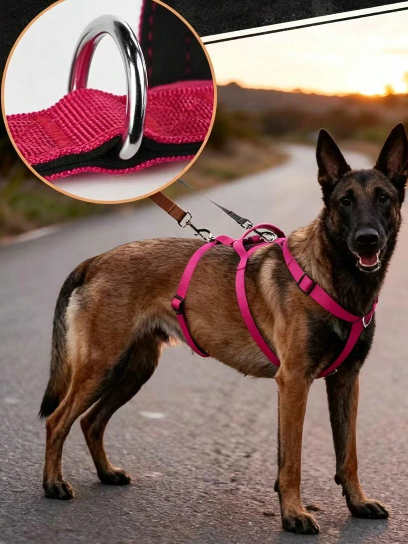 Heavy Duty Escape-Proof Dog Harness Leash For Large Dogs, Summer, 3-Strap Safety Design With Soft Nylon Padding, Suitable For Long-Bodied Breeds, Durable Nylon Material, Ideal For Walking, Training Breeds Like Dalmatians And Strong Pullers