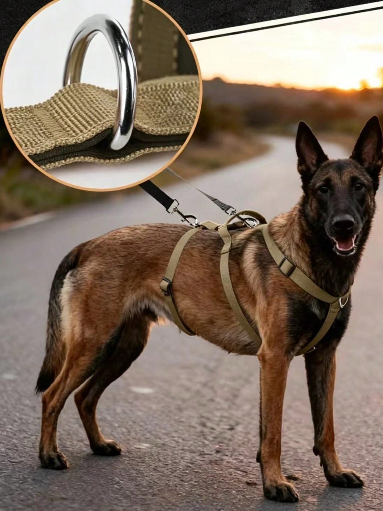 Heavy Duty Escape-Proof Dog Harness Leash For Large Dogs, Summer, 3-Strap Safety Design With Soft Nylon Padding, Suitable For Long-Bodied Breeds, Durable Nylon Material, Ideal For Walking, Training Breeds Like Dalmatians And Strong Pullers
