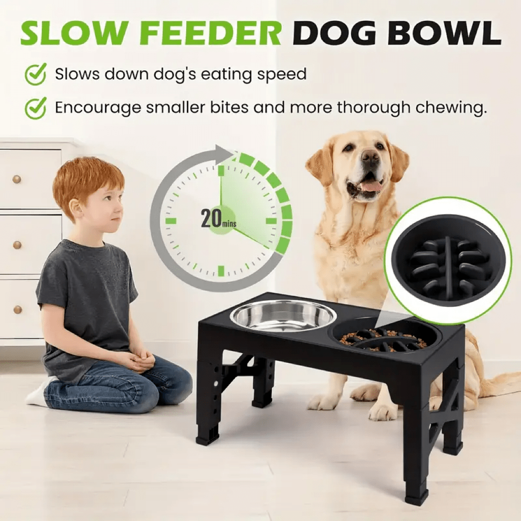 Adjustable height elevated dog bowl stand featuring 5 height settings, 2 stainless steel water bowls, and 1 slow feed bowl.