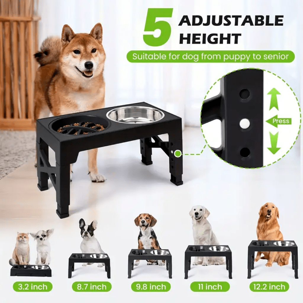 Adjustable height elevated dog bowl stand featuring 5 height settings, 2 stainless steel water bowls, and 1 slow feed bowl.