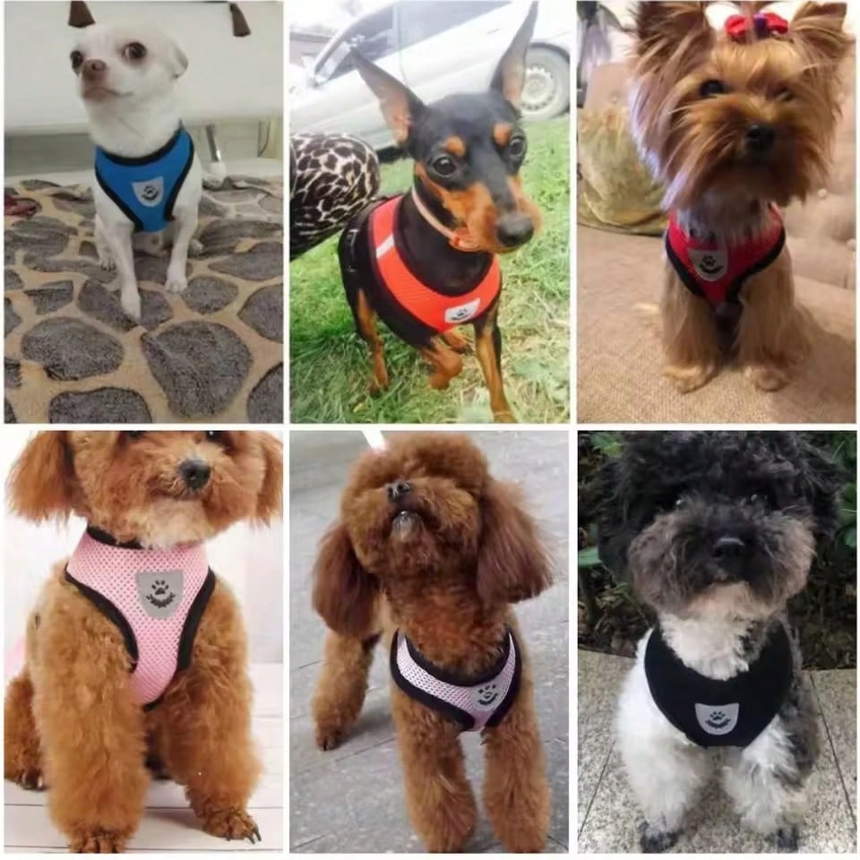 Multicolor polyester pet harness and leash set with breathable mesh, adjustable vest design, reflective details, and cartoon, colorblock, and plant patterns for small dogs and cats.