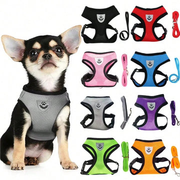 Multicolor polyester pet harness and leash set with breathable mesh, adjustable vest design, reflective details, and cartoon, colorblock, and plant patterns for small dogs and cats.