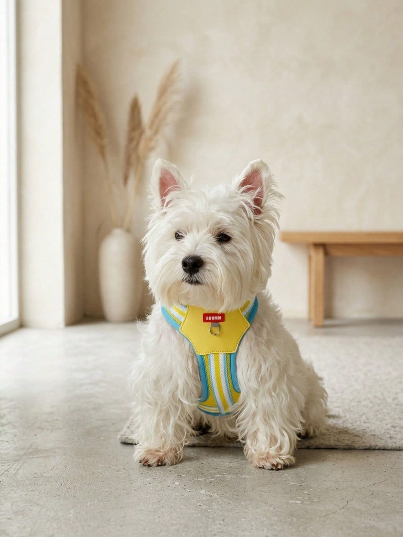 Multicolor reflective vest-style dog harness with padded adjustable straps and front and back leash attachment points for cats and dogs