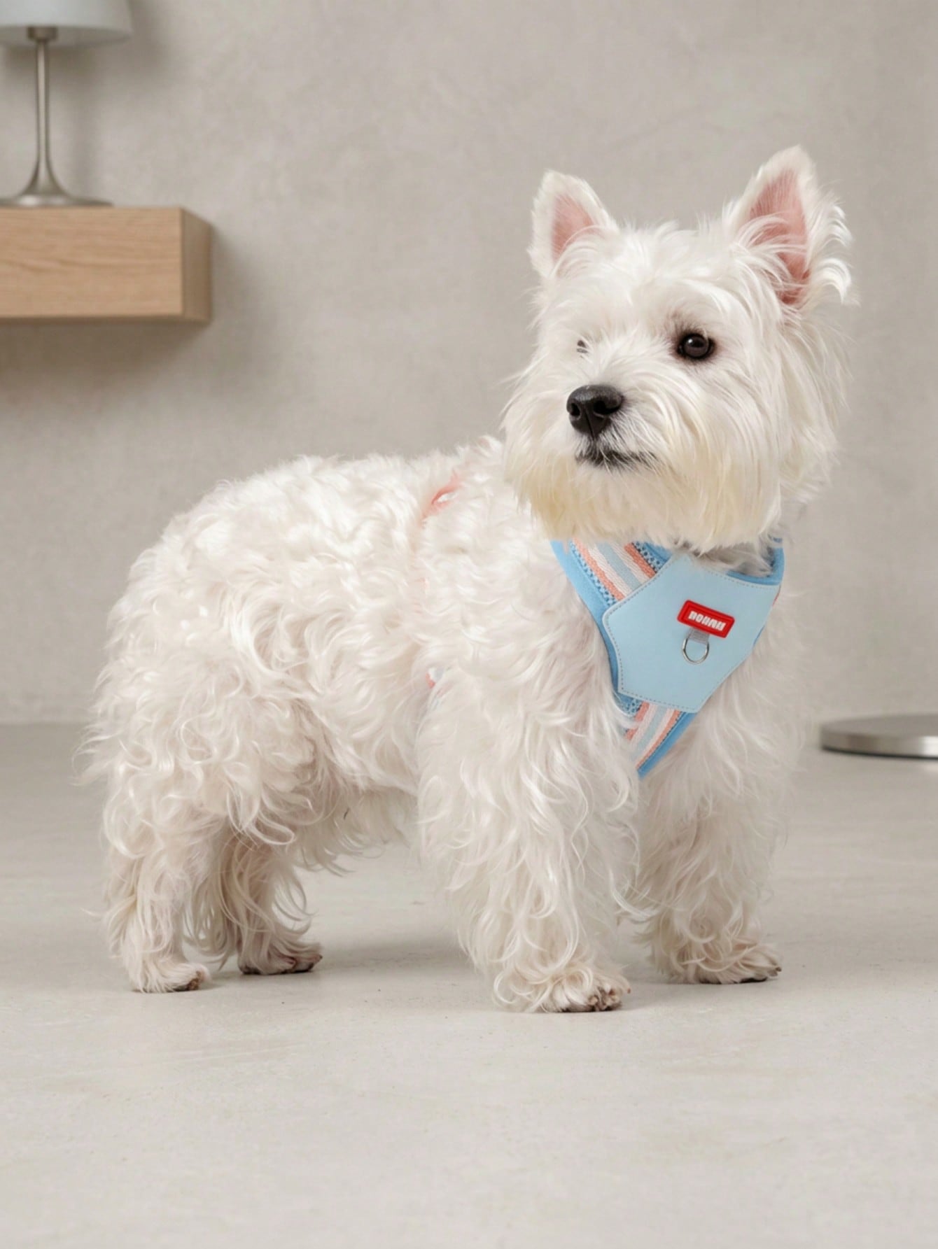 Multicolor reflective vest-style dog harness with padded adjustable straps and front and back leash attachment points for cats and dogs