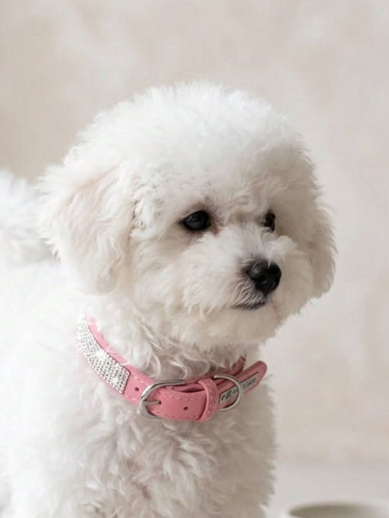 Multicolor sparkling crystal adjustable dog and cat collar made from polyurethane PU for pets with 16-46cm neck size