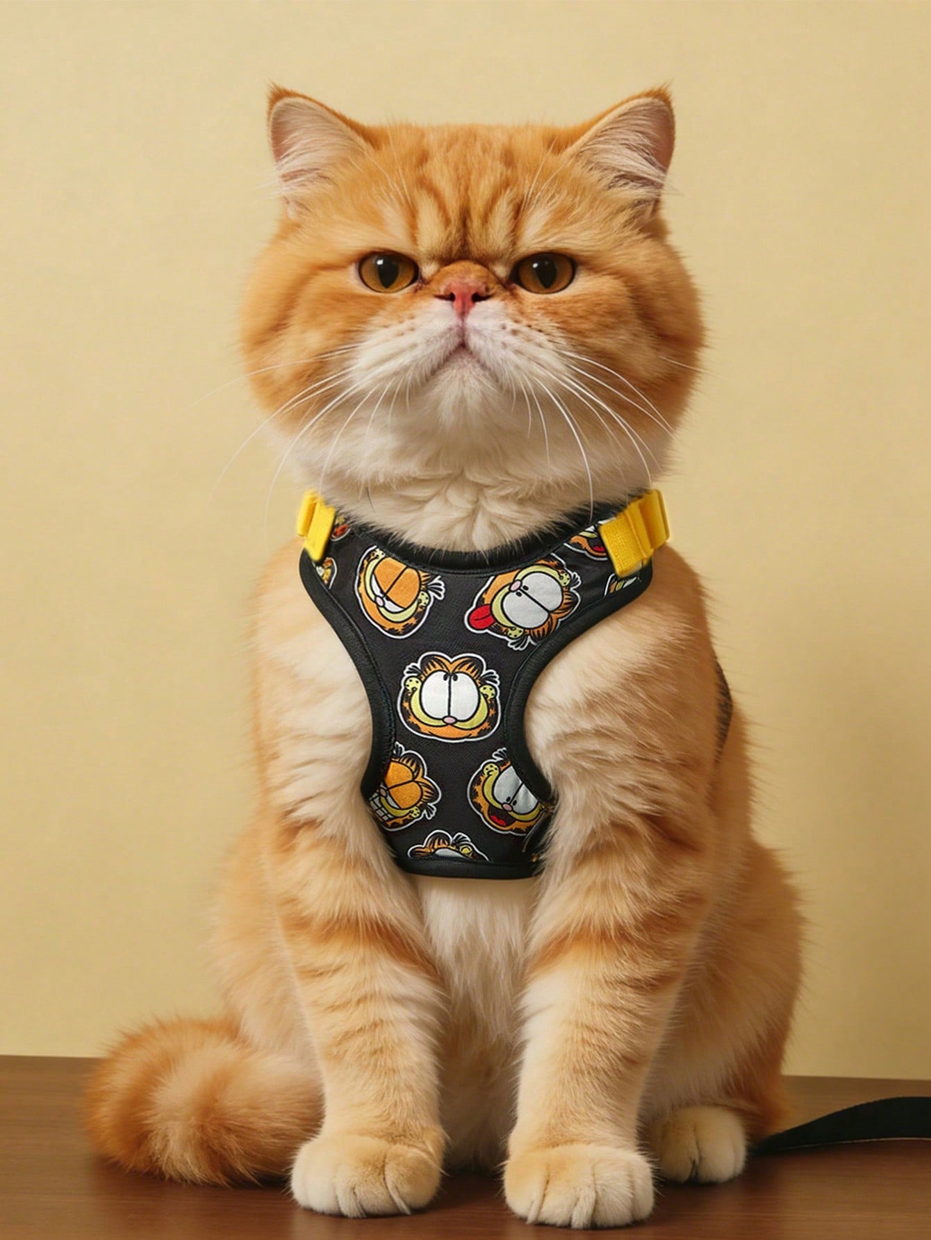 Multicolor cartoon pattern pet collar and leash set with adjustable polyester straps and portable storage bag for cats and dogs