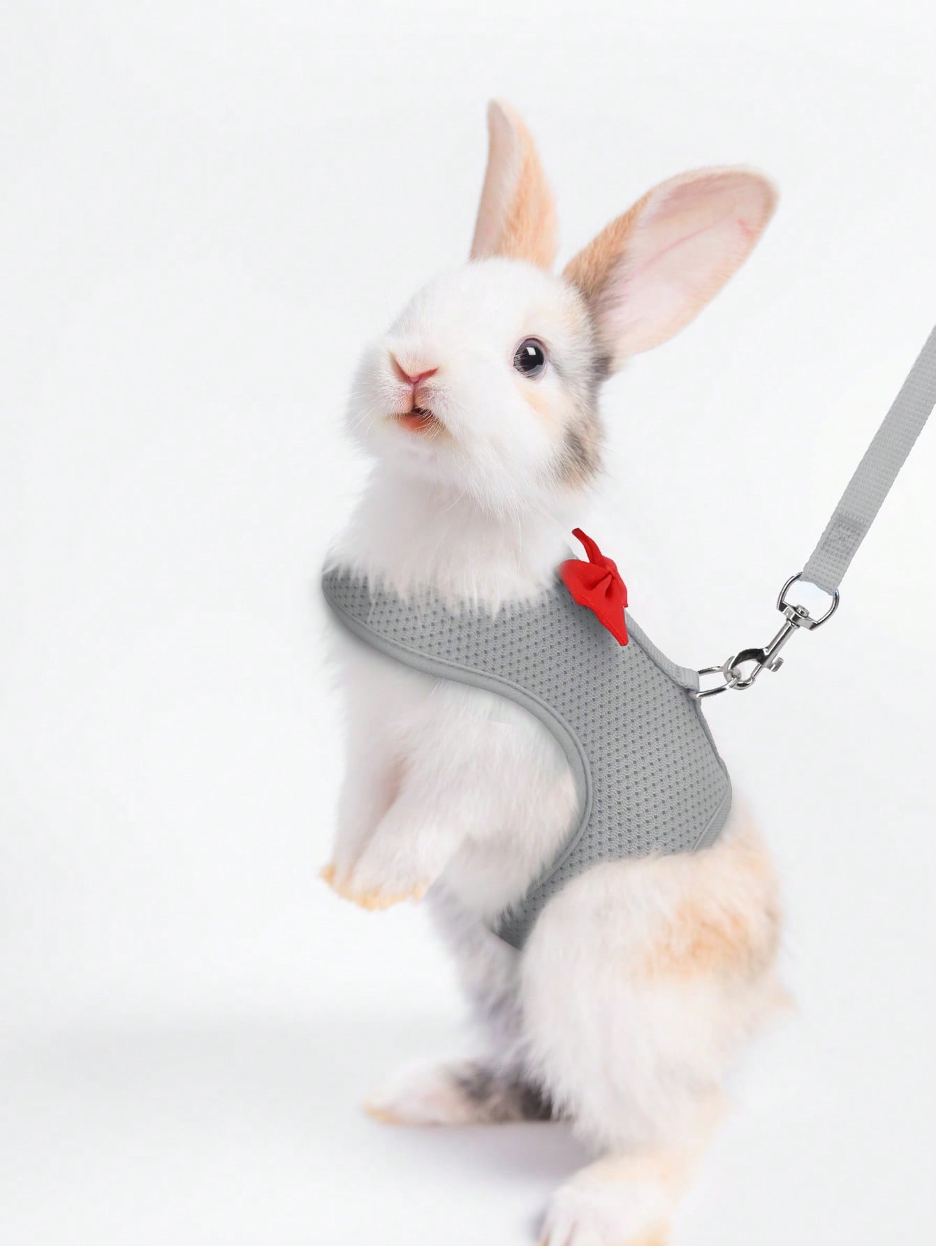 Supet breathable polyester rabbit harness and leash set for small animals in black, designed for supervised outdoor walking and handling.