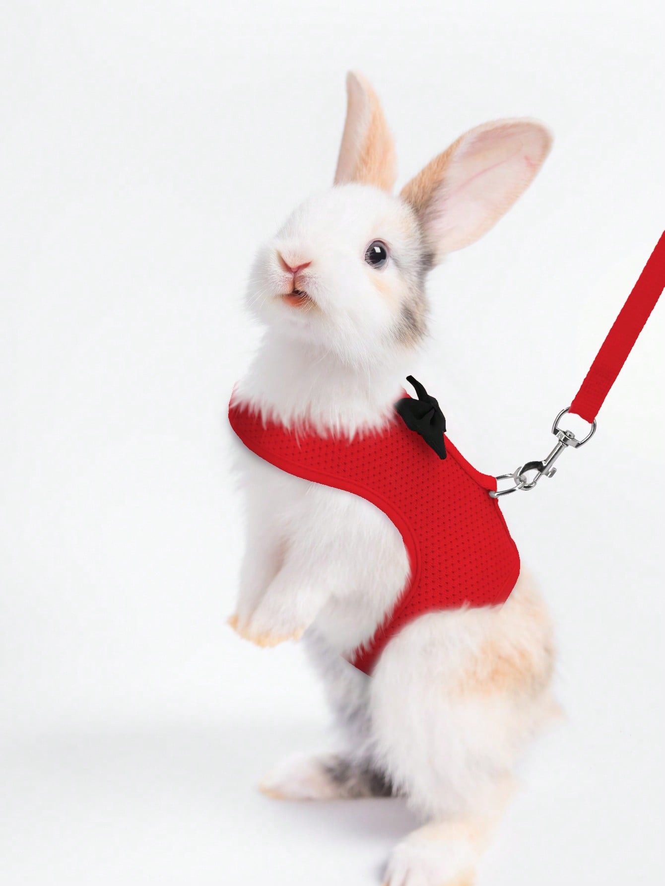 Supet breathable polyester rabbit harness and leash set for small animals in black, designed for supervised outdoor walking and handling.
