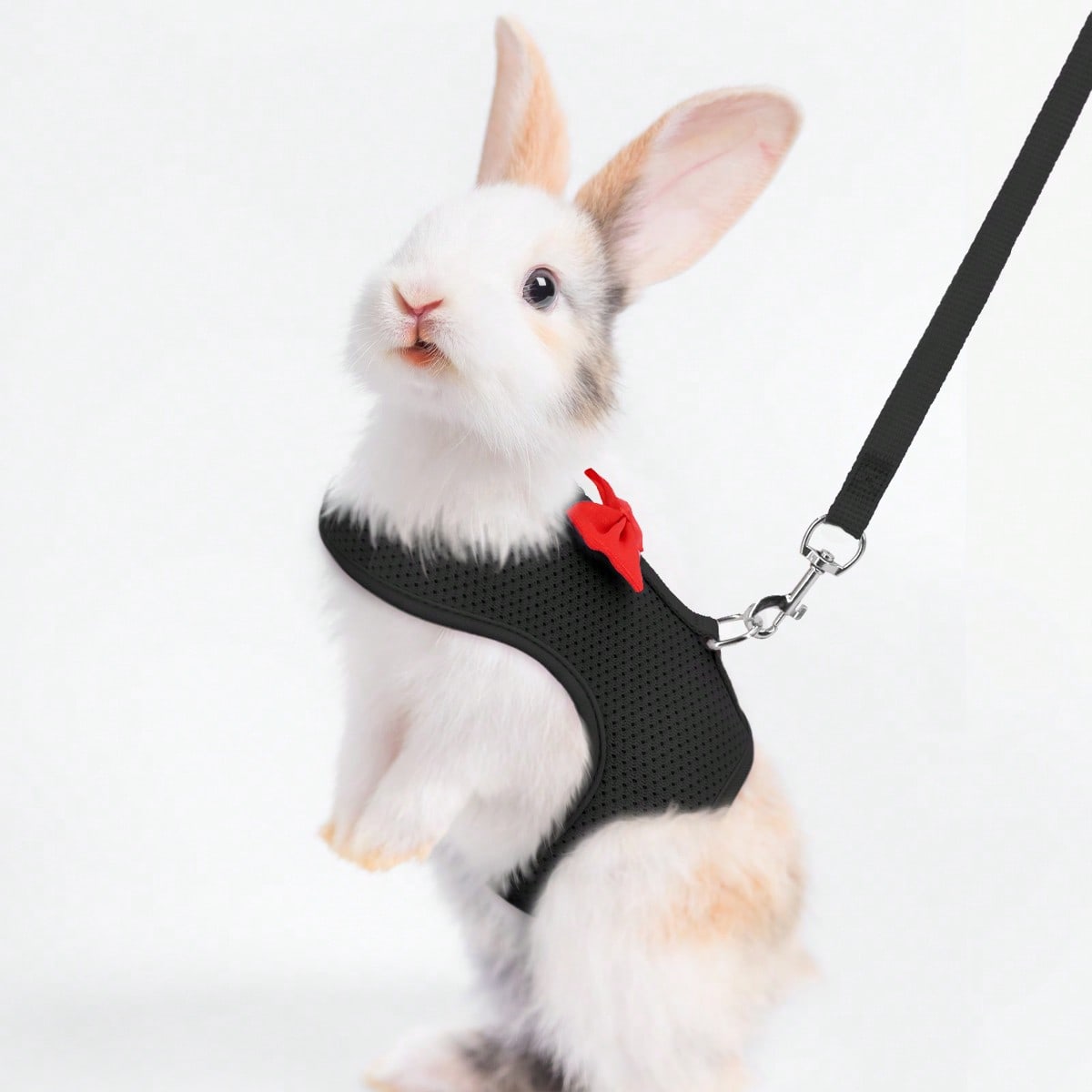 Supet breathable polyester rabbit harness and leash set for small animals in black, designed for supervised outdoor walking and handling.