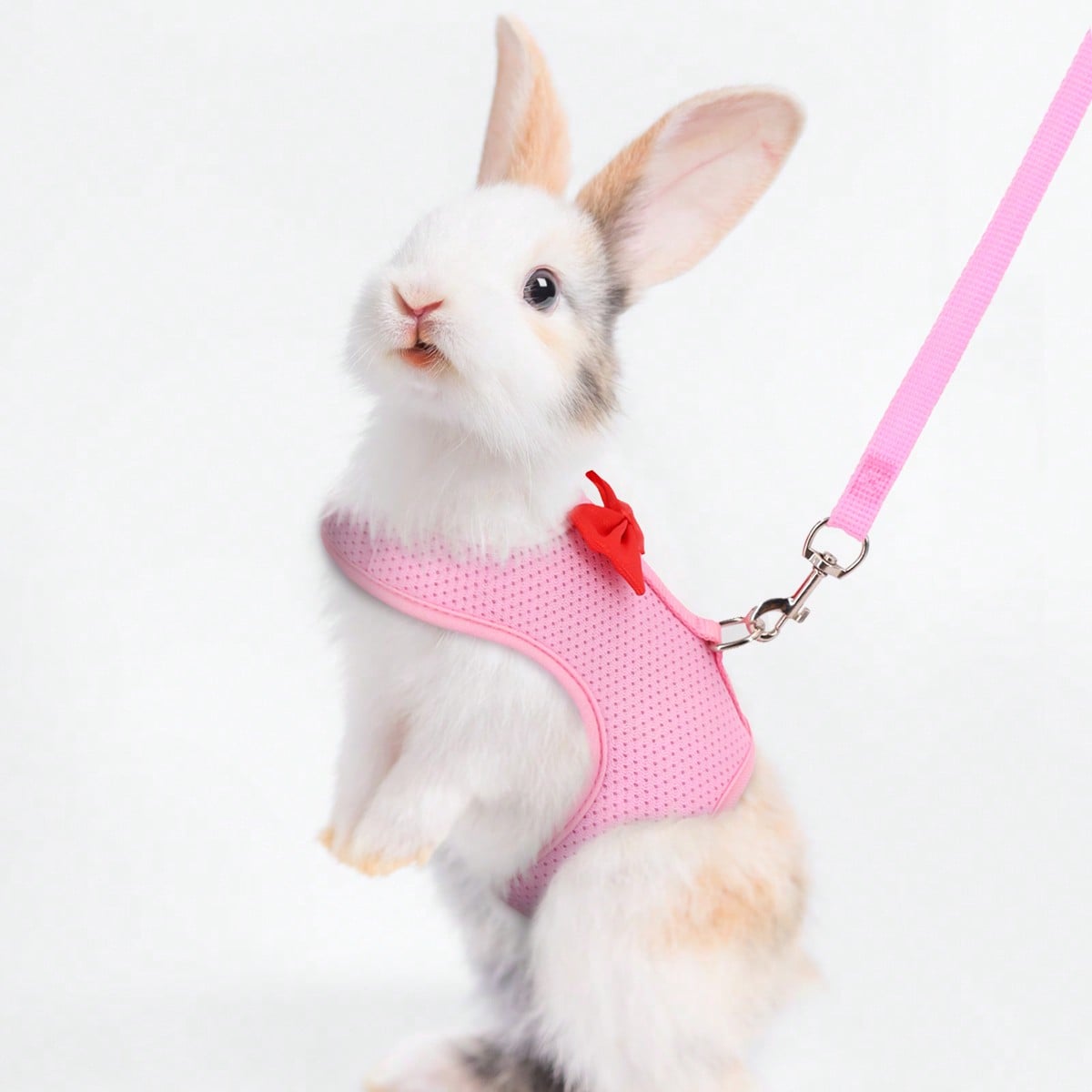 Supet breathable polyester rabbit harness and leash set for small animals in black, designed for supervised outdoor walking and handling.