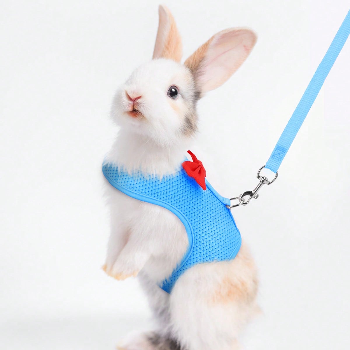 Supet breathable polyester rabbit harness and leash set for small animals in black, designed for supervised outdoor walking and handling.