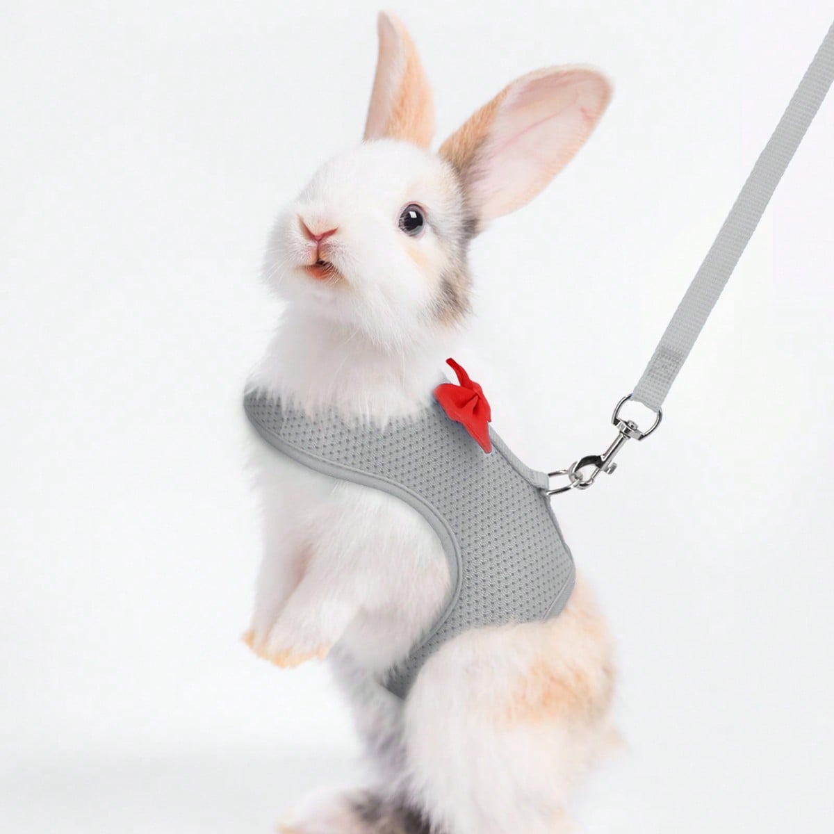 Supet breathable polyester rabbit harness and leash set for small animals in black, designed for supervised outdoor walking and handling.