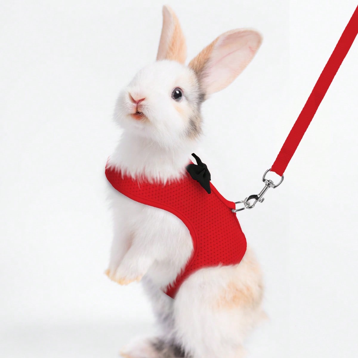 Supet breathable polyester rabbit harness and leash set for small animals in black, designed for supervised outdoor walking and handling.