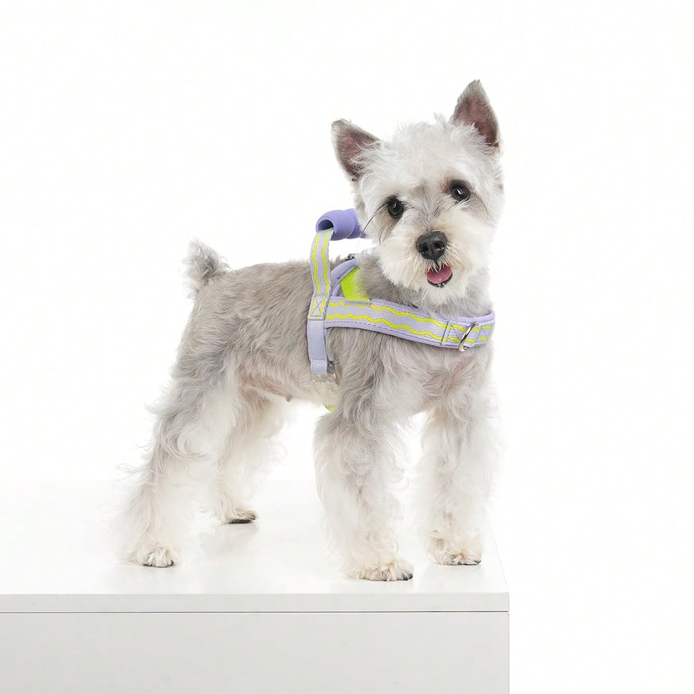 Multicolor foam dog harness with breathable mesh lining, top handle, D-ring leash attachment, adjustable strap, and reflective wave pattern for small and medium dogs