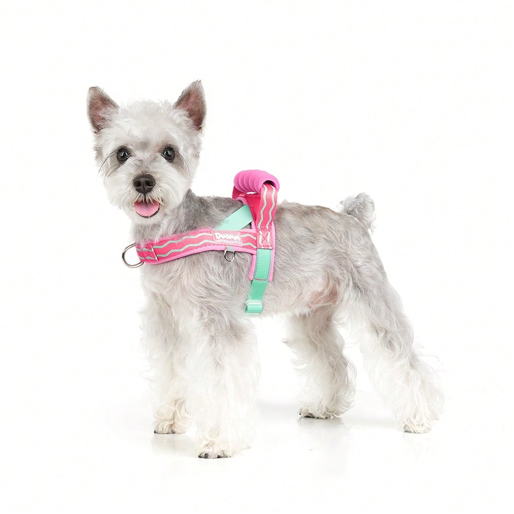 Multicolor foam dog harness with breathable mesh lining, top handle, D-ring leash attachment, adjustable strap, and reflective wave pattern for small and medium dogs
