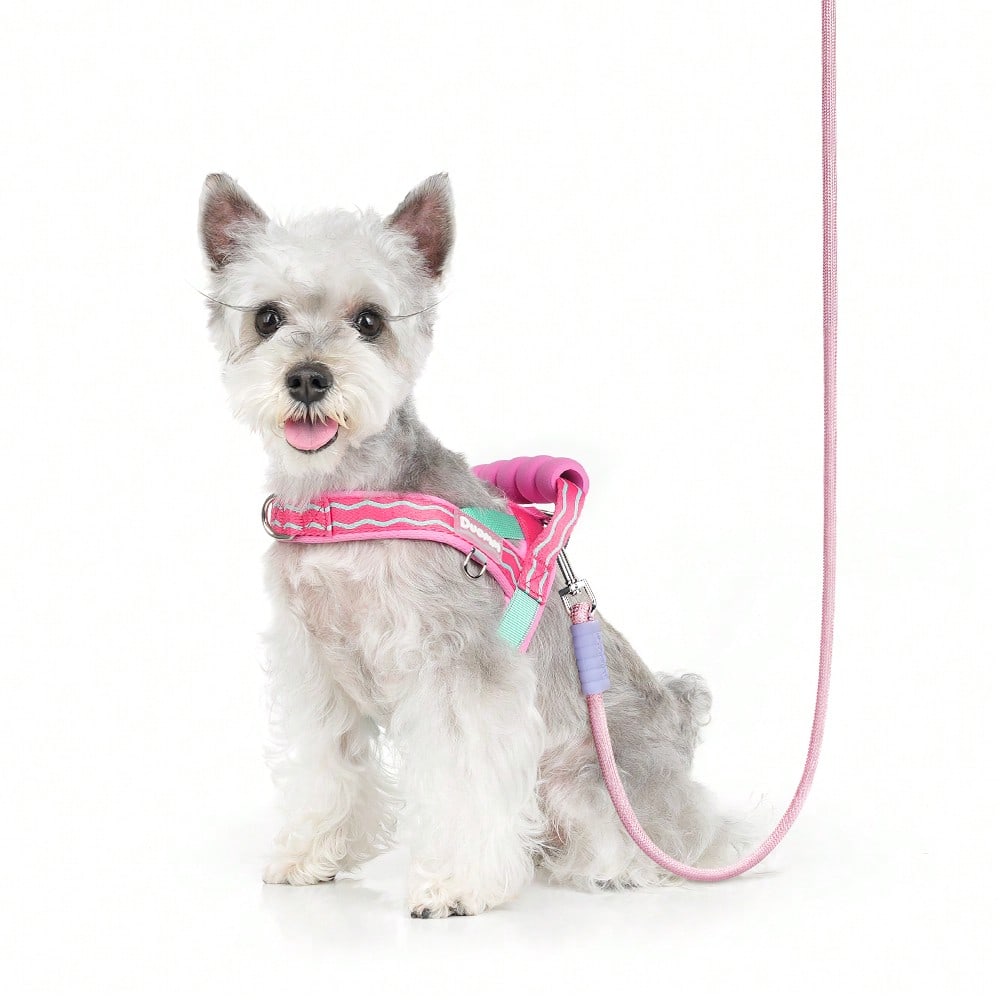 Multicolor foam dog harness with breathable mesh lining, top handle, D-ring leash attachment, adjustable strap, and reflective wave pattern for small and medium dogs