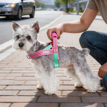 Pink polyester dog harness vest with top handle, D-ring leash attachment, adjustable straps, breathable mesh lining, and reflective wave pattern for small to medium dogs.