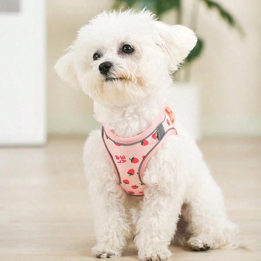 Printed Dog Harness And Leash Set, Dog Chest Strap Harness, Suitable For Training Walks, Breathable Adjustable Pet Vest, Fit For Small To Medium Dogs And Cats