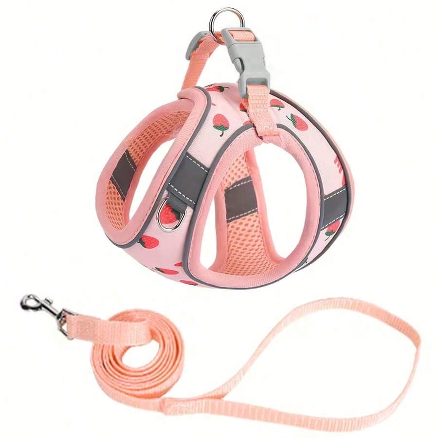 Multicolor polyester pet collar, leash, and chest strap harness set with strawberry fruit, geometric, and letter pattern for cats and dogs