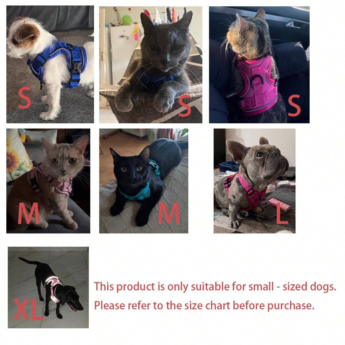 Multicolor cartoon polyester cat walking harness and leash set with soft adjustable escape proof vest design for cats and small dogs