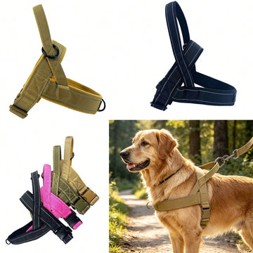 Adjustable reflective nylon padded tactical dog harness vest with leash for medium to large dogs, designed for outdoor walking, hiking, and daily use.