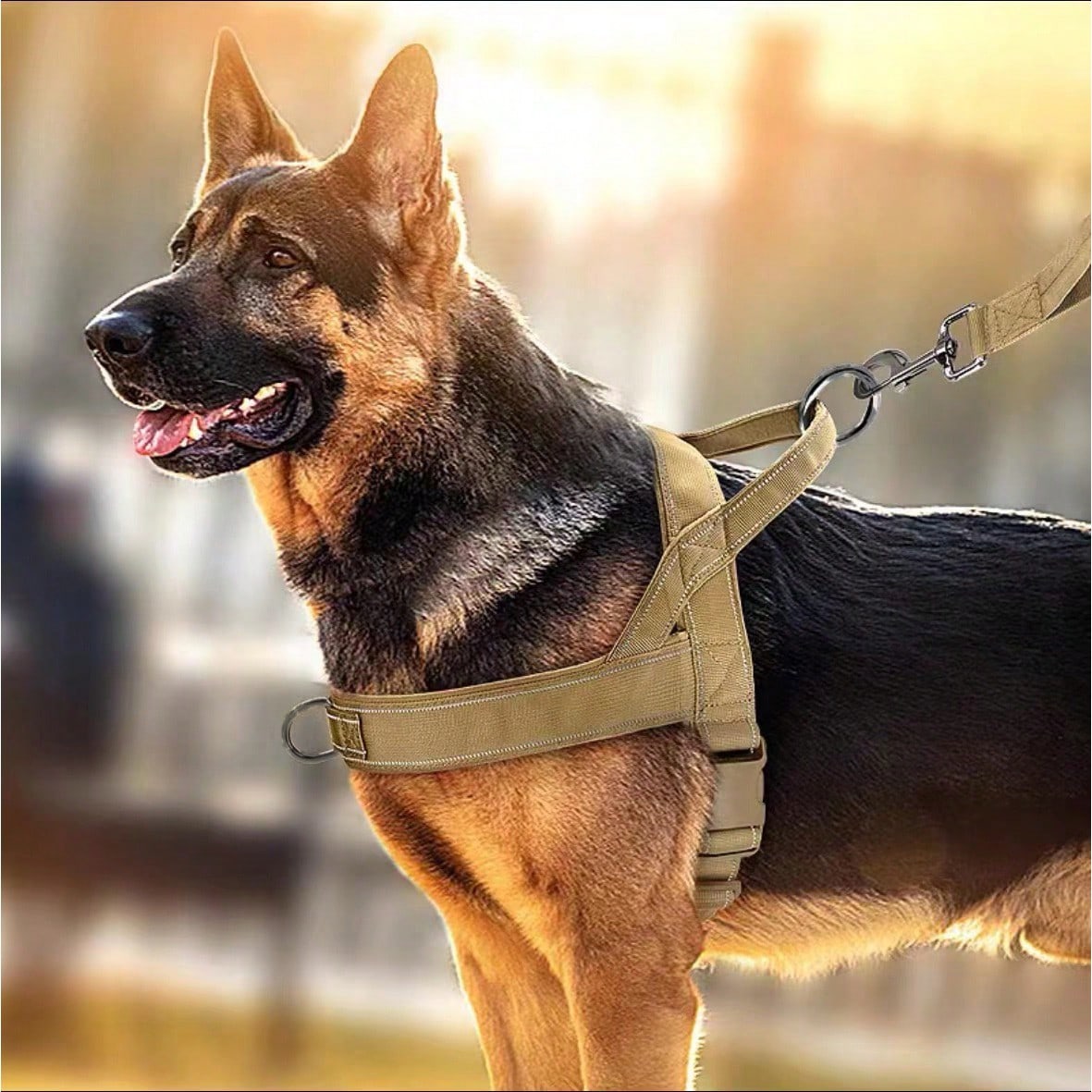 Adjustable reflective nylon padded tactical dog harness vest with leash for medium to large dogs, designed for outdoor walking, hiking, and daily use.