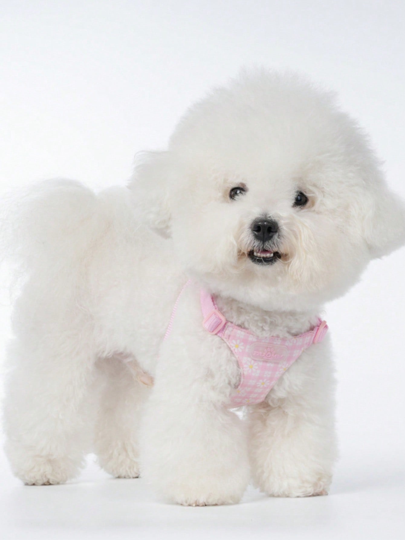 Baby pink small dog harness and leash set with daisy plant pattern, adjustable buckles, and lightweight polyester design for puppies and small breeds