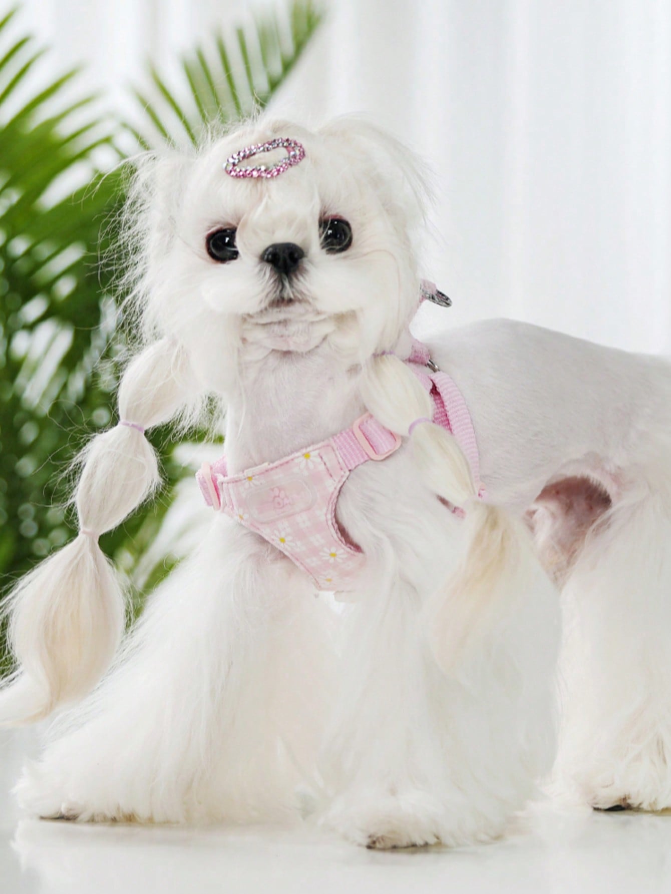 Baby pink small dog harness and leash set with daisy plant pattern, adjustable buckles, and lightweight polyester design for puppies and small breeds