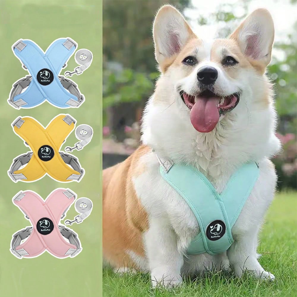Multicolor cartoon polyester pet harness and leash set with adjustable breathable vest for cats and dogs, suitable for outdoor walking.