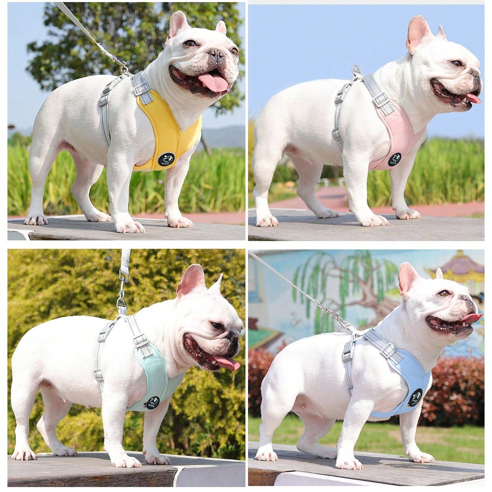 Multicolor cartoon polyester pet harness and leash set with adjustable breathable vest for cats and dogs, suitable for outdoor walking.
