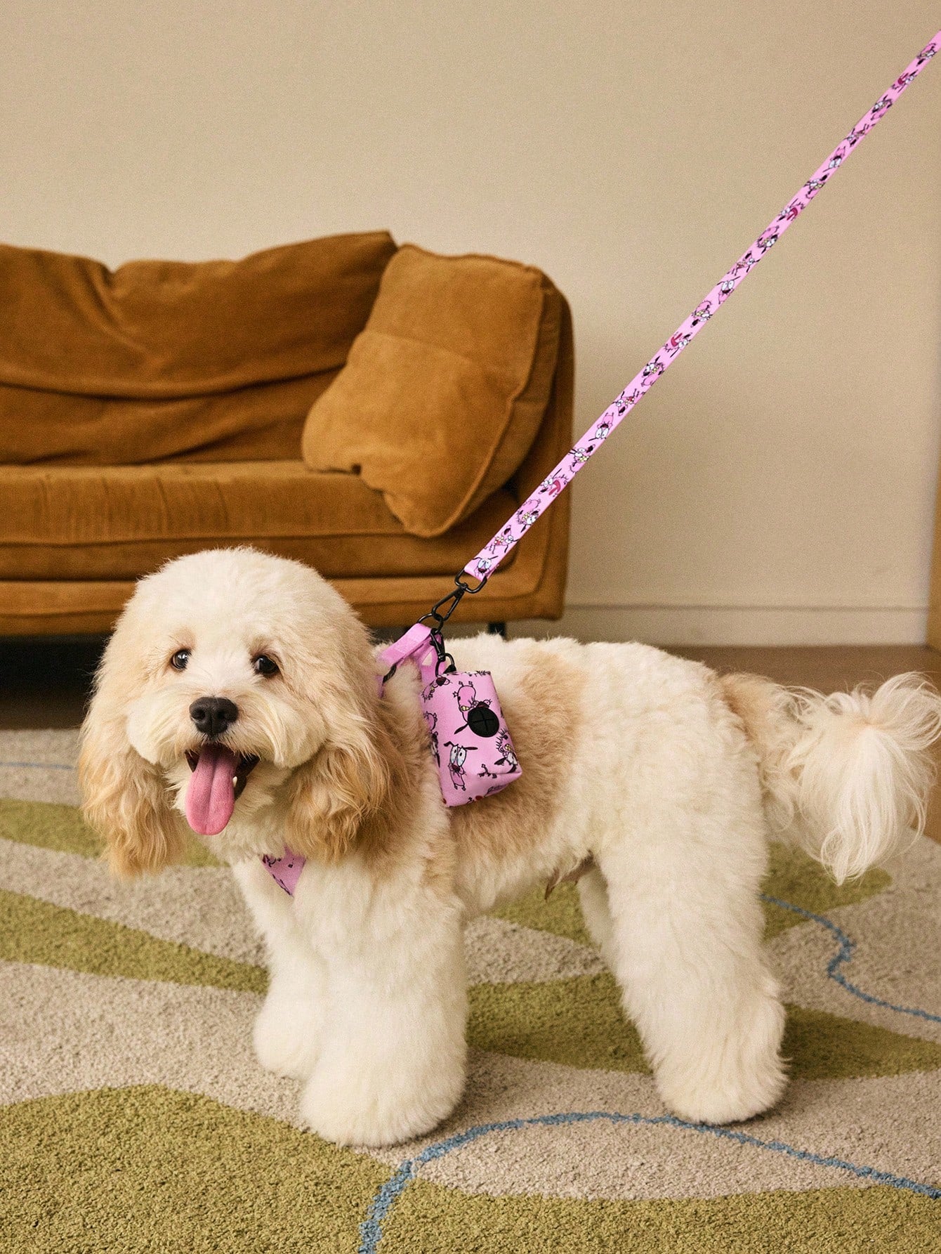Multicolor cartoon pattern pet collar and leash set with adjustable polyester straps and portable storage bag for cats and dogs