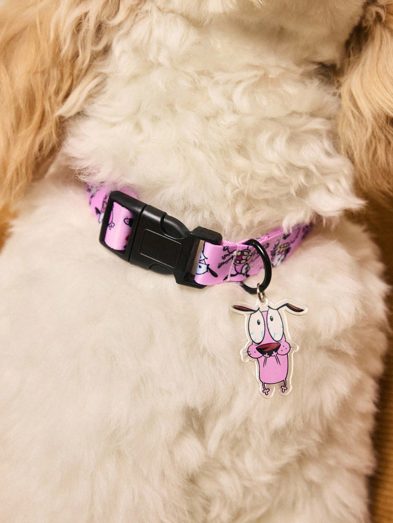 Multicolor cartoon pattern pet collar and leash set with adjustable polyester straps and portable storage bag for cats and dogs