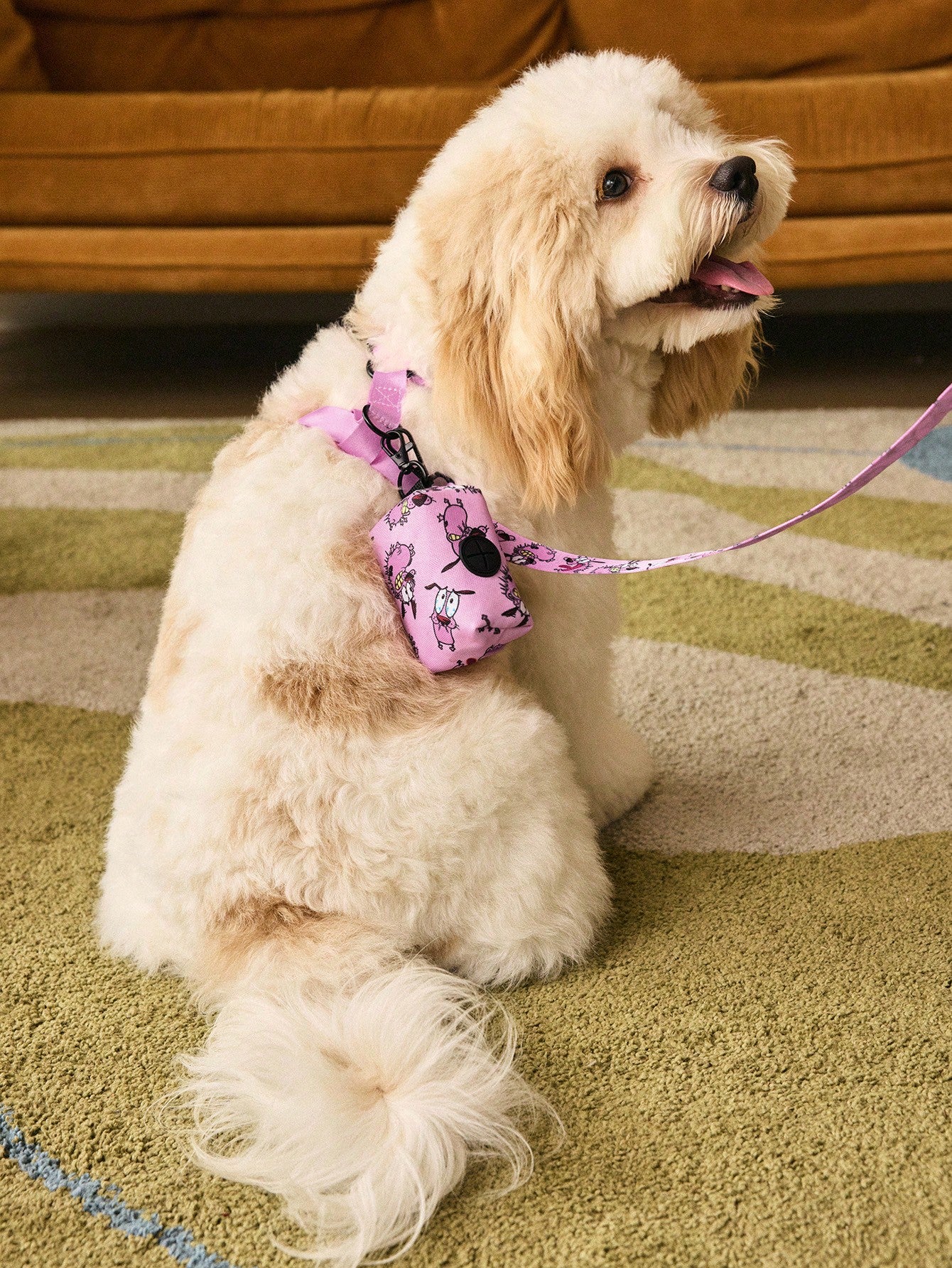 Multicolor cartoon pattern pet collar and leash set with adjustable polyester straps and portable storage bag for cats and dogs