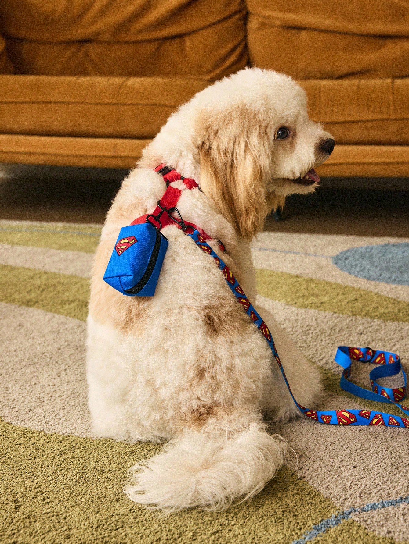 Multicolor cartoon pattern pet collar and leash set with adjustable polyester straps and portable storage bag for cats and dogs